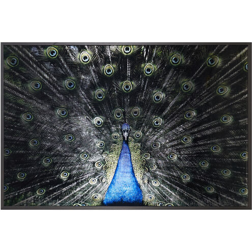 Brilliant Plumage Charcoal Luxe Art